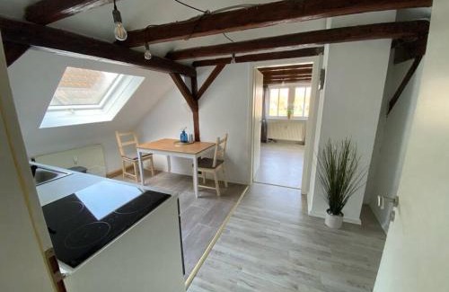 Marktbreit Apartment | Mainblick voll ausgestattet, Küche, Klima, Wanne