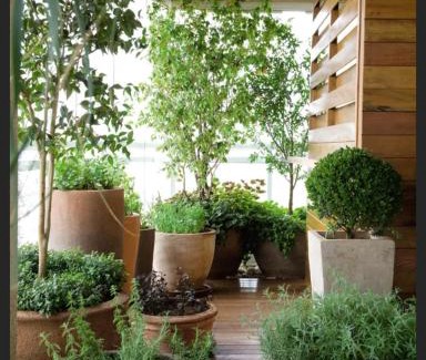 Assis Villa | Maison Élan