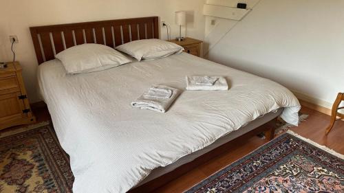 Kaysersberg-Vignoble House | Maison alsacienne cosy avec parking privé, à deux pas du marché de Noël de Kaysersberg - 6 guests