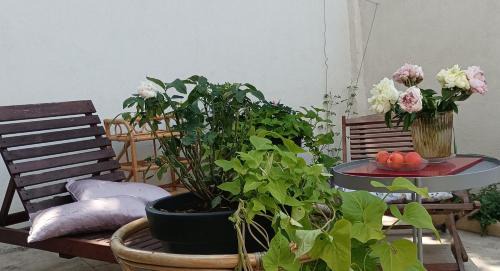 Arles Bed & Breakfast | Maison Arelate