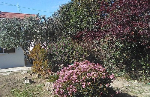 Montolivet House | Maison Avec Jardin