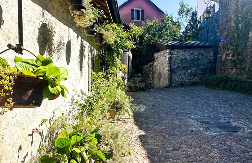 Annecy Old Town Ski Chalet | Maison Castellino