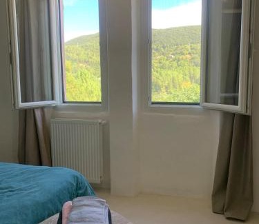 Le Martinet Villa | Maison Conscience sans alcool ni tabac vegetarienne