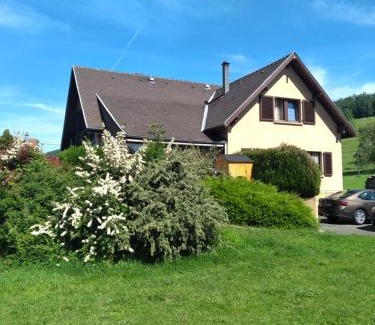 Munster Villa | Maison de charme Haslach 300m2 Grand séjour 15 personnes - Belles vues !