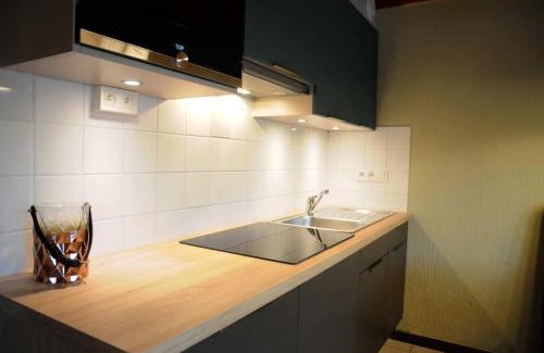 Vielsalm House | Maison du Lac 4