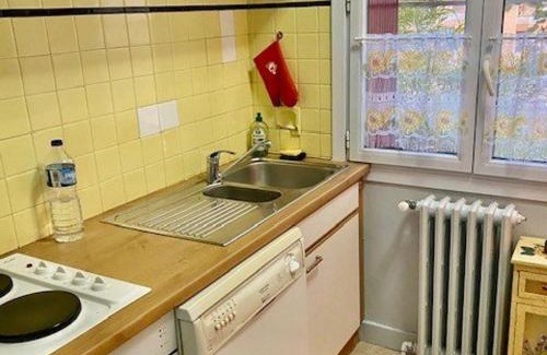 Amelie-les-Bains-Palalda House | Maison jardin clos avec BBQ, 2 appts tout équipés, proche cures et commerces - FR-1-703-175