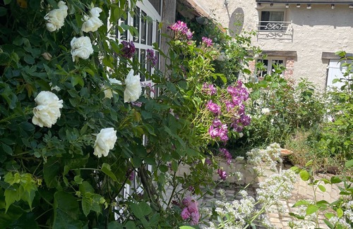 Tour-en-Sologne House | Maison L, Gîte de Caractère, Sologne & Châteaux