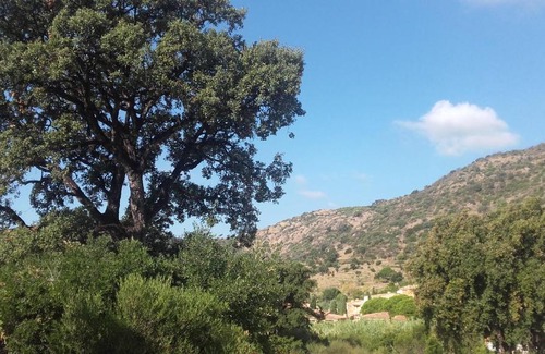 Le Lavandou House | Maison Saint Clair Lavandou 2 à 4 personnes