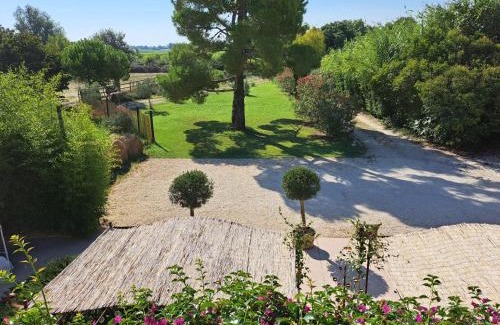 Arles Bed & Breakfast | Maison Tara verte au Mas Montredon