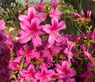 Bussy-Saint-Georges Bed & Breakfast | Maison Tobias