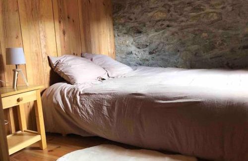 Peyragudes Ski Chalet | Maison typique rénovée 4 CHBR lac d'Oô Peyragudes