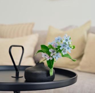 Zirchow Apartment | Maisonette-Apartment A11 "Pine Hill Resort" Zwei Balkone, zwei Terrassen