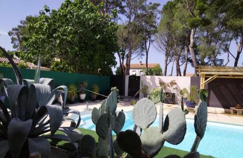 Boujan-sur-Libron Apartment | Majopau
