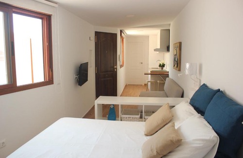 Lagunillas Apartment | Malaga Center Lagunillas Apartments