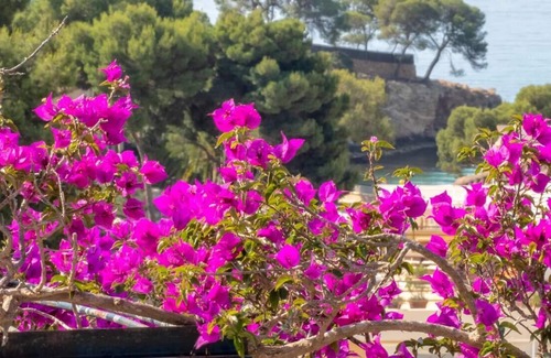 Portals Nous Apartment | Mallorca Holiday Home 100m from the beach