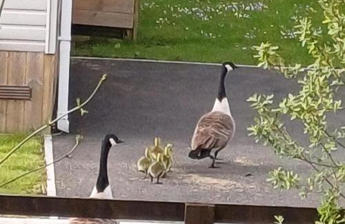 Malton House | Malton 2-Bed Lodge Sleeps 4 Pet Friendly