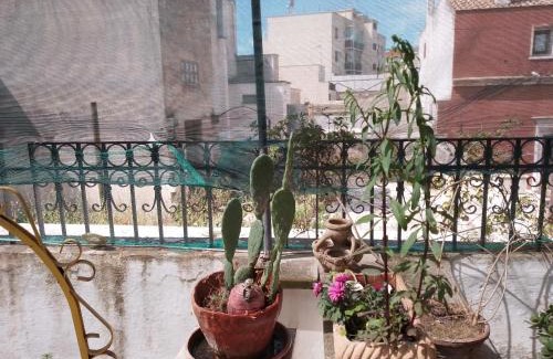 Brindisi Histotic Center Apartment | Malvasia room and apartament