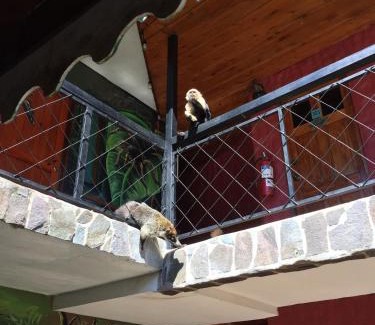 Monteverde House | Manakin Lodge, Monteverde