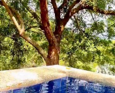 Melgar Other | Mangoo Glamping