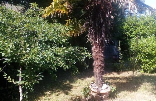 Blois Bed & Breakfast | Manoir Du Vieux Cedre