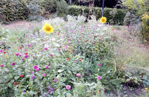 Blois Bed & Breakfast | Manoir Du Vieux Cedre