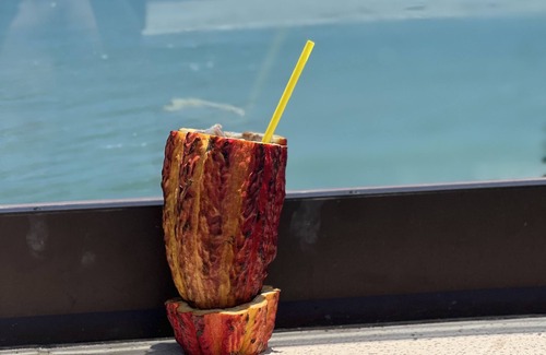 Itacare House | Mansão com Vista Deslumbrante em Itacaré/bahia