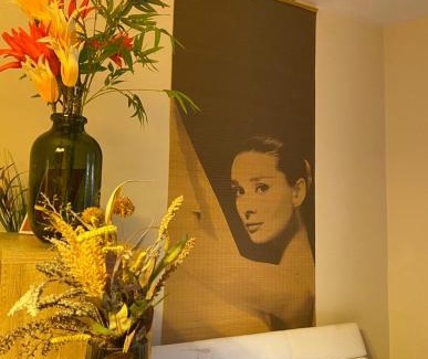 Orszagut Apartment | Margaret Apartment by the Danube