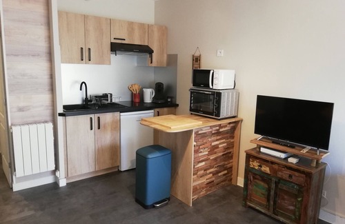 Aix-les-Bains City Center Apartment | Marie's patio in bloom