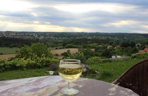 Keszthely Apartment | Marikalak