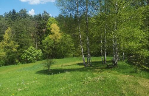Sobenov Other | Maringotka k pronájmu