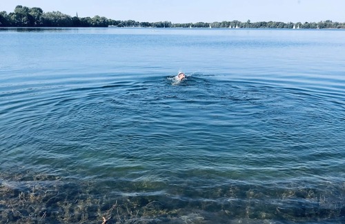 Wardt Apartment | Marschenhof at the lakes.