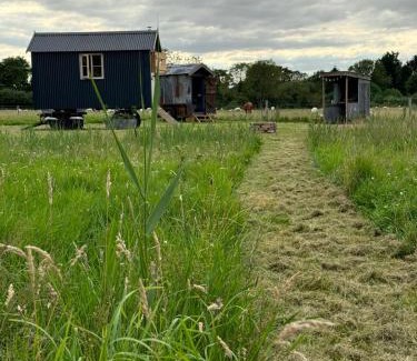 Haddiscoe Other | Marsh View