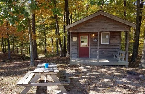 Helmsburg Cabin | "Martin" Camping Cabin #12 | Pet Friendly