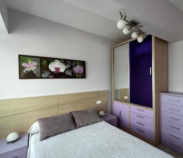 Malpica de Bergantinos Apartment | Marusía apartamento