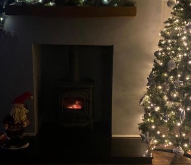 Downpatrick House | Mary Annes