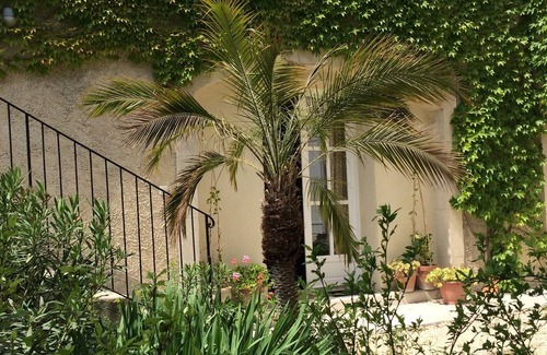 Visan House | Mas BONHEUR - paradise for 12 people with breathtaking view of Mont Ventoux