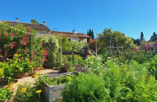 St.-Remy-de-Provence Bed & Breakfast | MAS DES FIGUES -très calme- Certifié Biologique FRBio10-Parc Naturel écologique vivant- piscine 12x6-Copieux brunch paysan méditerranéen du jardin cuisine maison huile d'olive-Agritourisme-Alpilles-Saint Rémy de Provence- du 30 avril au 20 septembre 2026-