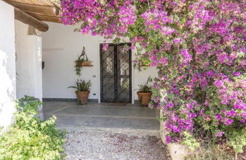Torre Santa Susanna House | Masseria Bellamarina