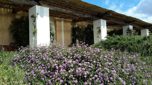 Il Monte Hotel | Masseria L'Antico Frantoio