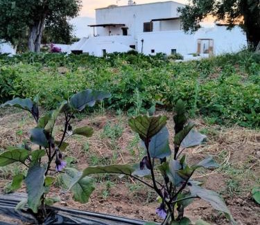Ostuni House | Masseria Piccole Taverne