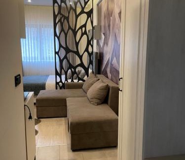 Kopaonik Apartment | MASTER APARTMENTS N54 Milmari resort