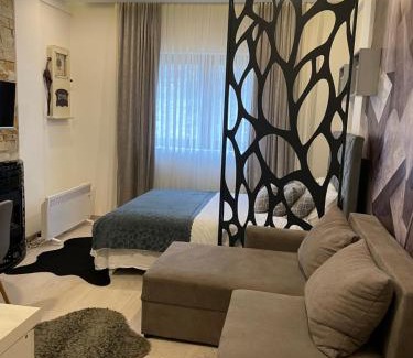 Kopaonik Apartment | MASTER APARTMENTS N54 Milmari resort