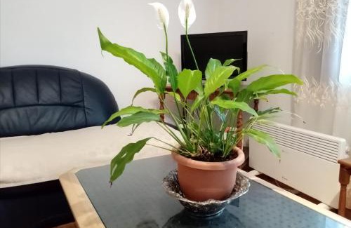 Ohrid House | Mateski guest house