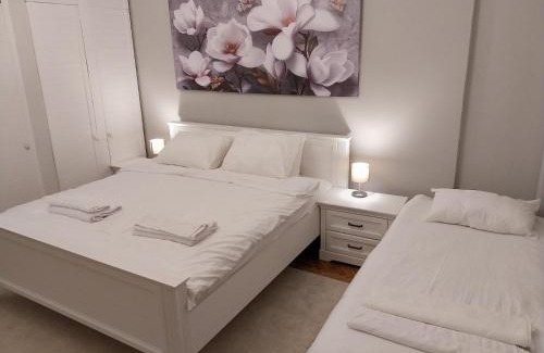 Palilula Apartment | Maximus Apartments