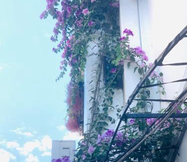 Cam Pho Bed & Breakfast | May's House Hoi An