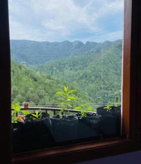 New Shimla House | Mayank homestay shimla