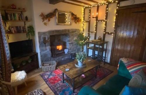 Llanrhaeadr-ym-Mochnant House | Maytree Cottage. Compact home in Mid Wales.