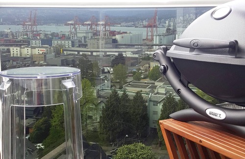 Grandview-Woodland Apartment | MCM Sky Port