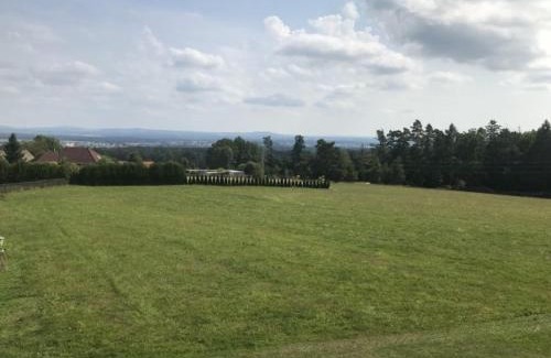 Tabor Other | Meadow by the forest