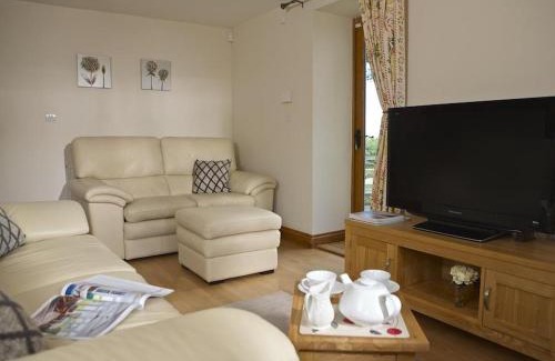 Ivybridge House | Meadow View